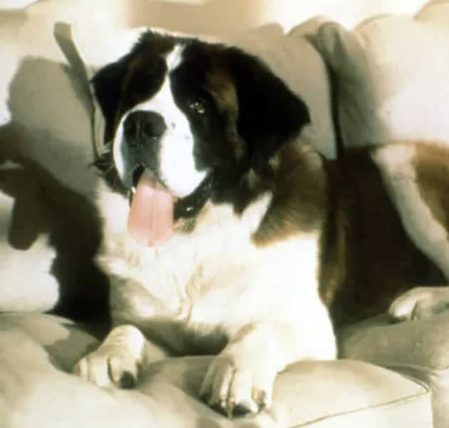 Beethoven