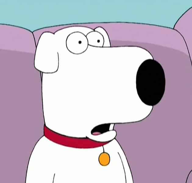 Brian Griffin
