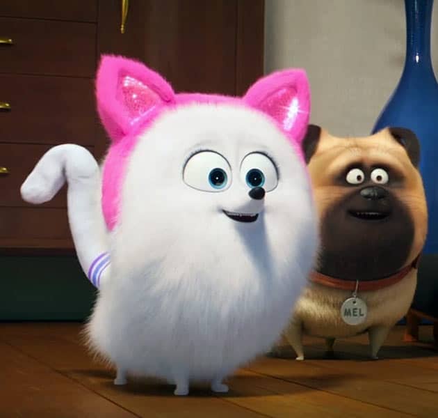 Gidget
